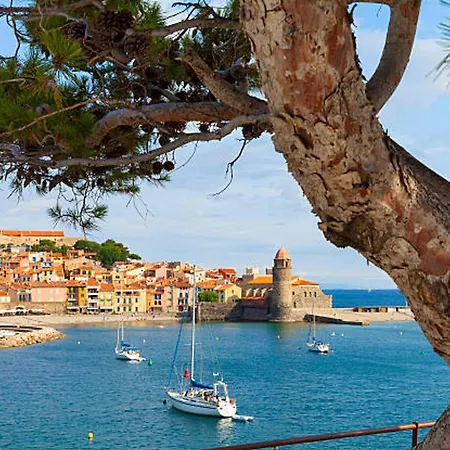 아파트 A Saint-cyprien - Acces Plage, Piscine, Terrasse - Fr-1-732-71 *